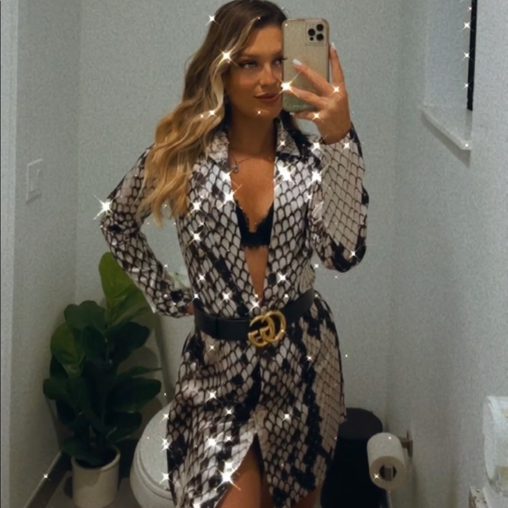 Grey Satin Snake Print Blazer Dress
